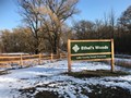 Ethel's Woods