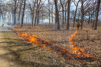 BURN-INGR-20220412-51