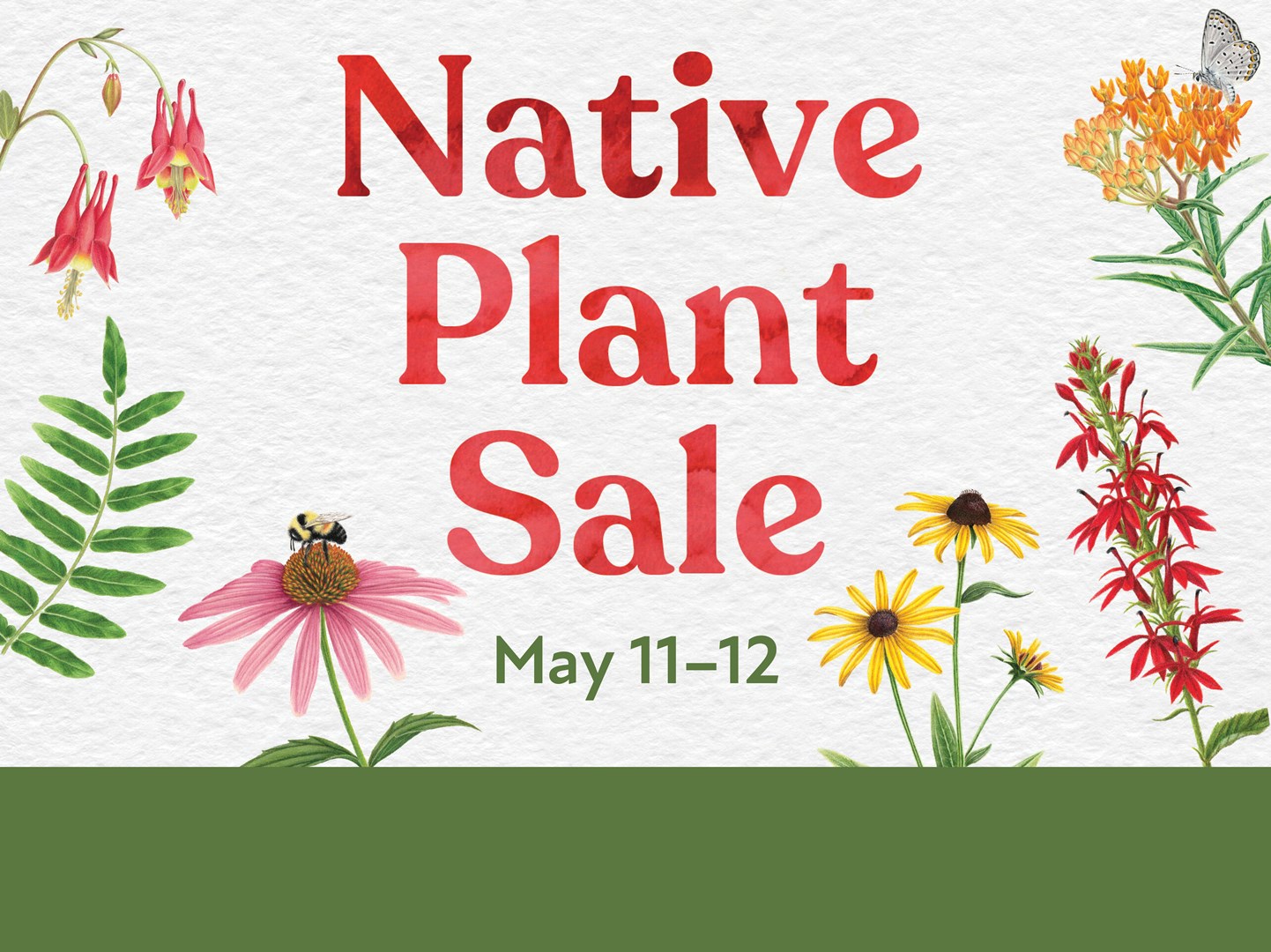 Website-Where_to_Go_Homepage_Graphics-NPS-2024