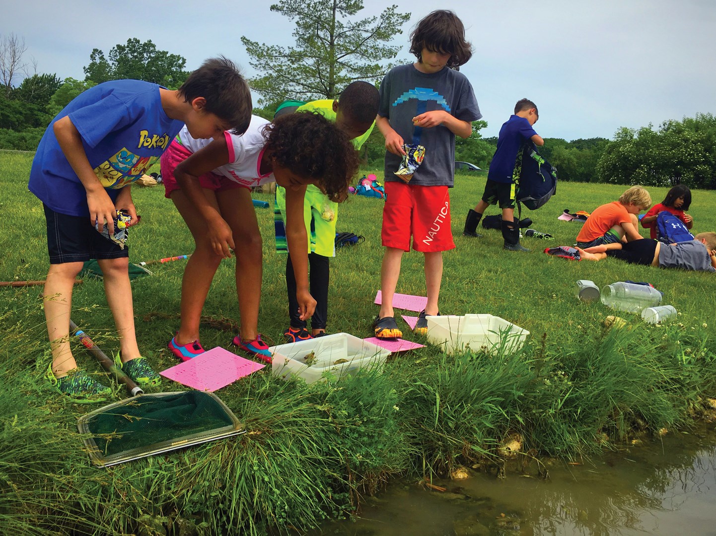 Website-Where_to_Go_Homepage_Graphics-Summer_Adventures