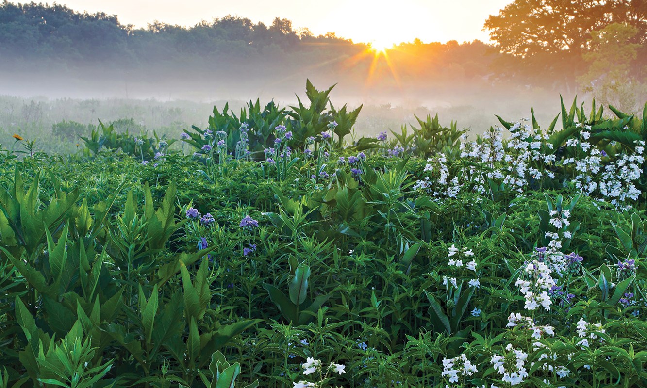 Middlefork-Bob_Callebert