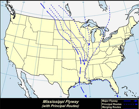 Mississippi-flyway-460x360