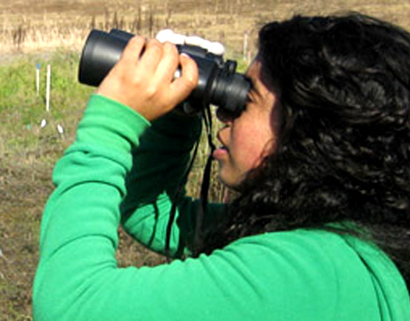 using-binocs-460x360